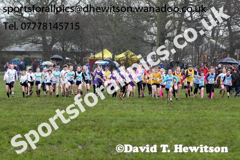 Minor girls Northern Inter Counties Schools Cross Country, Stockton. Photo: David T. Hewitson/Sports for All Pics